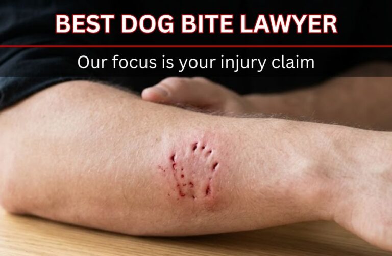 best dog bite lawyer in st. louis