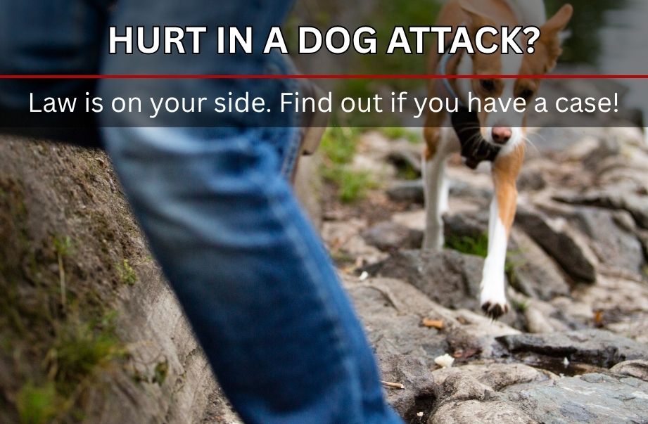 Dog Bite Injury Claims in Missouri: What You Need to Know